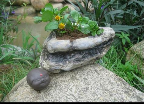 盆栽放石頭
